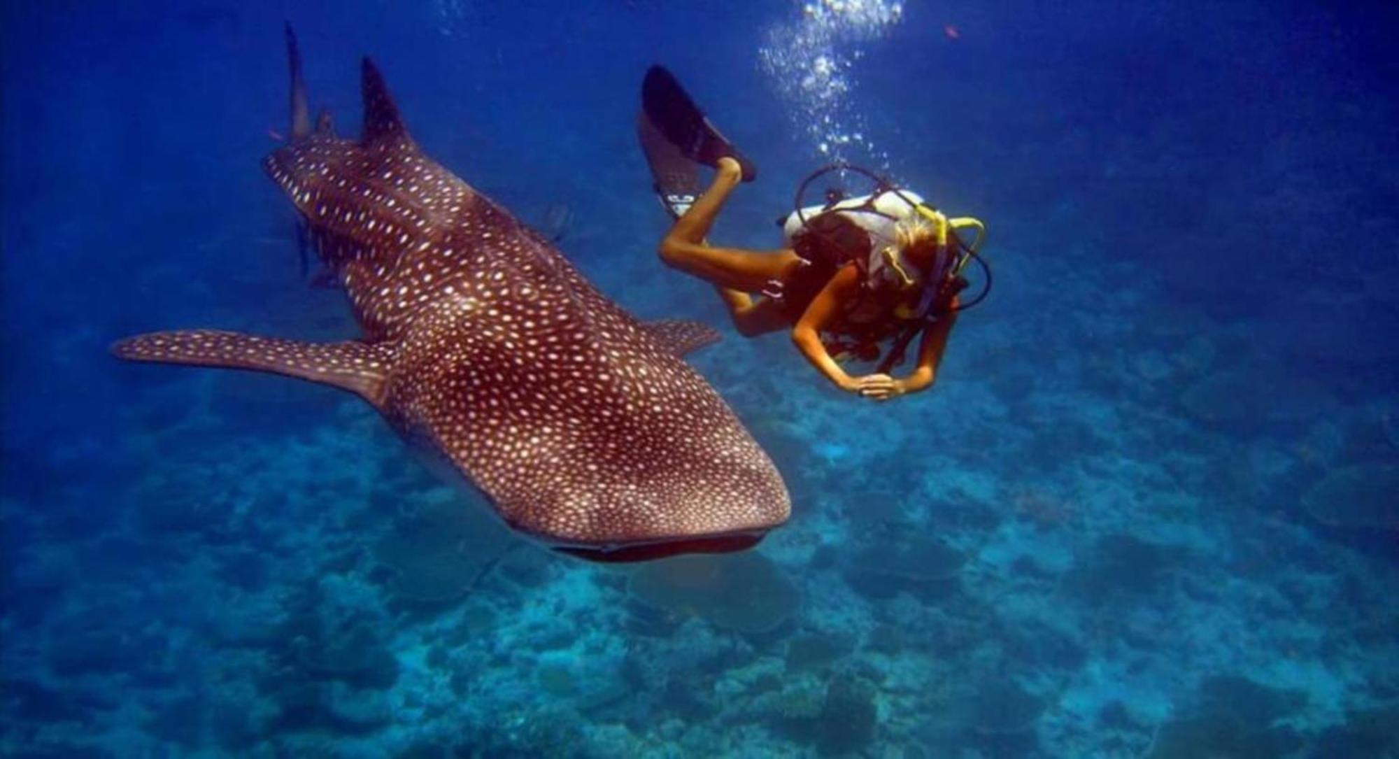 Batuta Maldives Fourson Ξενοδοχείο Thulusdhoo Εξωτερικό φωτογραφία